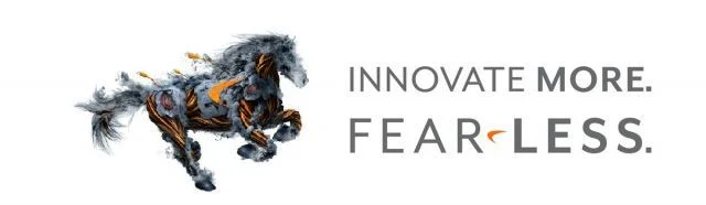 SONICWALL 01-SSC-8630 (Key) SonicWALL UTM SSL VPN 5 User License